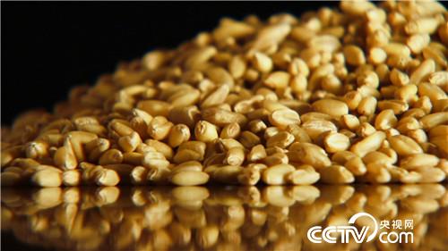 [致富经]了不起 中国农民&mdash;&mdash;致敬改革开放40周年 第一集 禾下土 20181217 