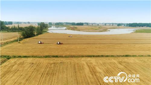 [致富经]了不起 中国农民&mdash;&mdash;致敬改革开放40周年 第一集 禾下土 20181217 