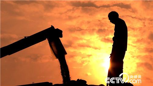 [致富经]了不起 中国农民&mdash;&mdash;致敬改革开放40周年 第一集 禾下土 20181217 