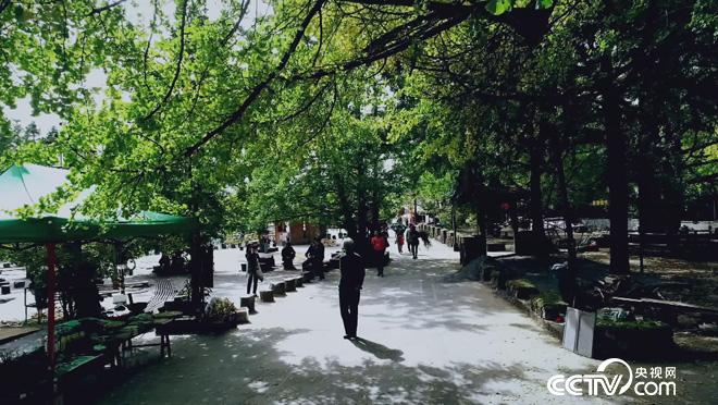 乡土：固东三宝 12月18日