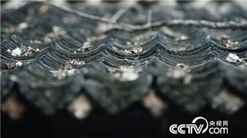 [致富经]了不起 中国农民 第三集 走四方 20181219 