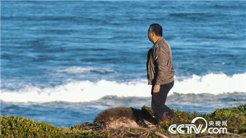 [致富经]了不起 中国农民 第三集 走四方 20181219 