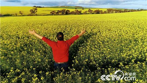 [致富经]了不起 中国农民 第三集 走四方 20181219 