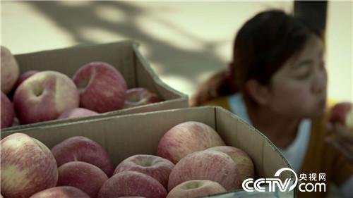 [致富经]了不起 中国农民 第三集 走四方 20181219 