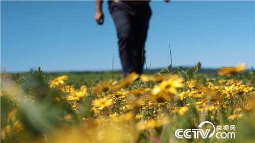 [致富经]了不起 中国农民 第三集 走四方 20181219 