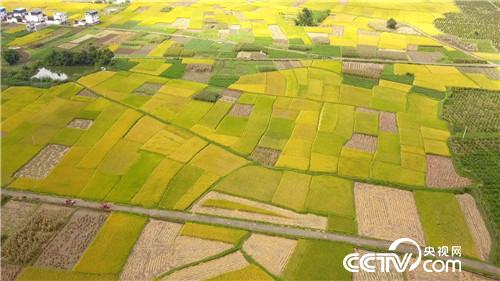 了不起 中国农民 第四集 筑梦人