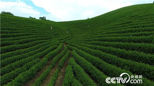 了不起 中国农民 第四集 筑梦人