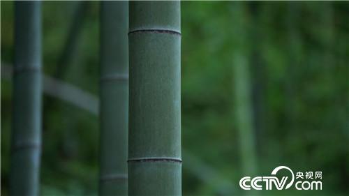 [致富经]了不起 中国农民 第五集 我的家 20181221 