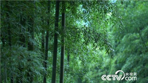 [致富经]了不起 中国农民 第五集 我的家 20181221 