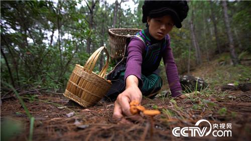 [致富经]了不起 中国农民 第五集 我的家 20181221 