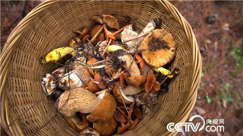 [致富经]了不起 中国农民 第五集 我的家 20181221 