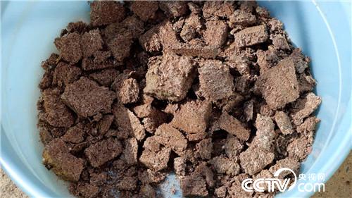 [致富经]亿万富翁爱吃虫 赔钱果里掏出流油财 20181226 