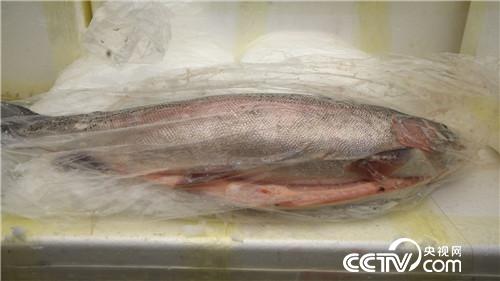 [致富经]两次三番斗荒滩 鹅卵石间赚大钱 20181227 