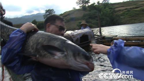 [致富经]集体失踪的鱼 一年带回3000万元 20190102 