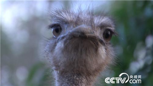 [致富经]笑得很魔性 赚钱很疯狂 20190103 