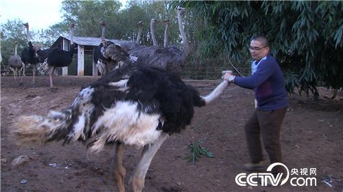 [致富经]笑得很魔性 赚钱很疯狂 20190103 