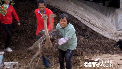 [致富经]笑得很魔性 赚钱很疯狂 20190103 