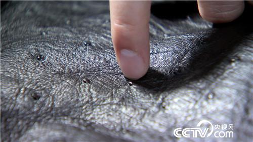 [致富经]笑得很魔性 赚钱很疯狂 20190103 