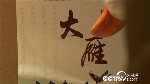 [致富经]他用私房钱 留住南飞雁 天上地下都赚钱 20190117