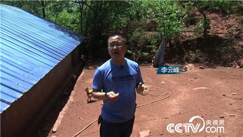 [致富经]把鸡&ldquo;催眠&rdquo; 价格翻倍 20190121 