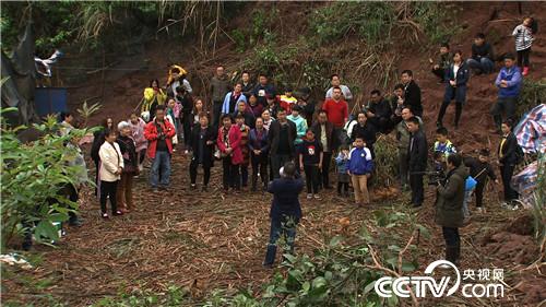 [致富经]把鸡&ldquo;催眠&rdquo; 价格翻倍 20190121 