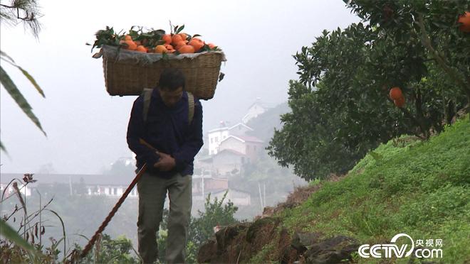 乡土：山水相伴的秭归人 1月24日