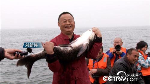 [致富经]一张巨网水里捞 一天要卖3000万 20190122 