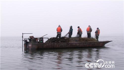 [致富经]一张巨网水里捞 一天要卖3000万 20190122 