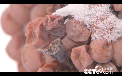 [致富经]冰天雪地 做黑豆腐 让他年卖7000万 20190124 