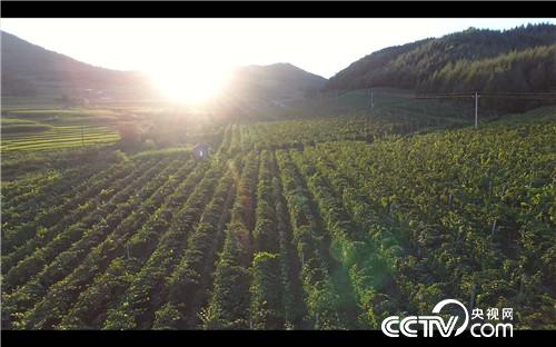 [致富经]冰天雪地 做黑豆腐 让他年卖7000万 20190124 