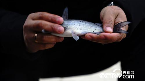 [致富经]贪玩小伙儿&ldquo;变形记&rdquo; 20190130 