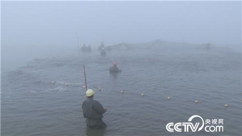 [致富经]贪玩小伙儿&ldquo;变形记&rdquo; 20190130 