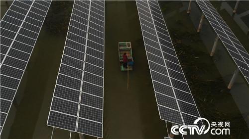 [致富经]巧借力 他让水上 水中 水底都赚钱 20190131 