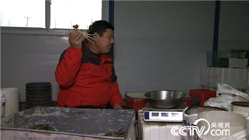 [致富经]巧借力 他让水上 水中 水底都赚钱 20190131 