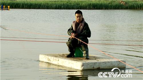 [致富经]六畜兴旺贺新春 变着花样巧来财 20190211 