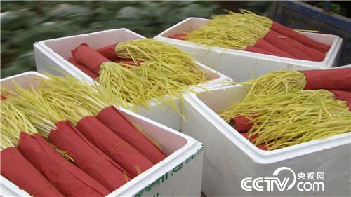 [致富经]怎么把钱赚？ 三个数字一把蒜 20190226 