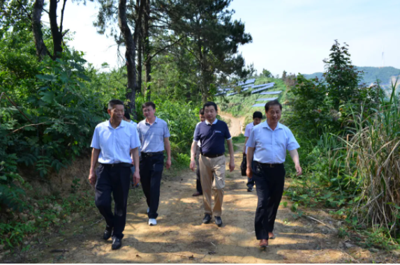 全国人大代表、安徽省金寨县四季春茶叶专业合作社理事长、党支部书记陈先志（左一）向参观者介绍茶园发展情况。（陈先志供图） 