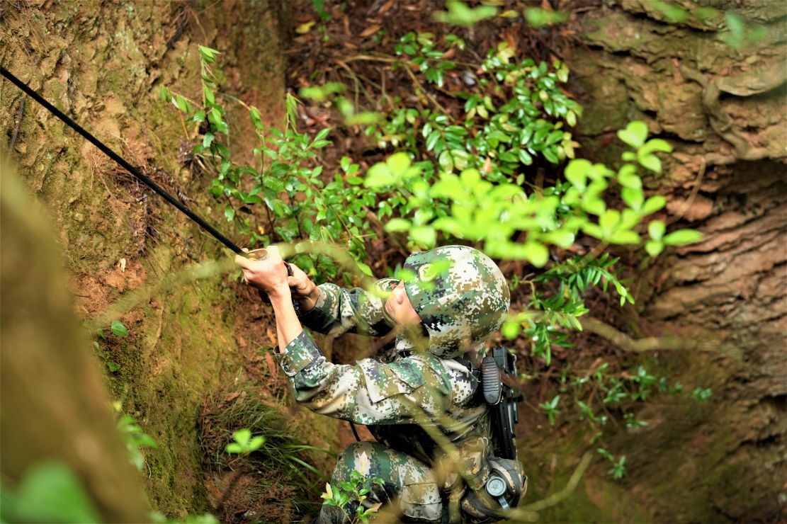 战斗能力,为体系作战,能力生成提供了很好的数据支撑,也对按纲施训,为