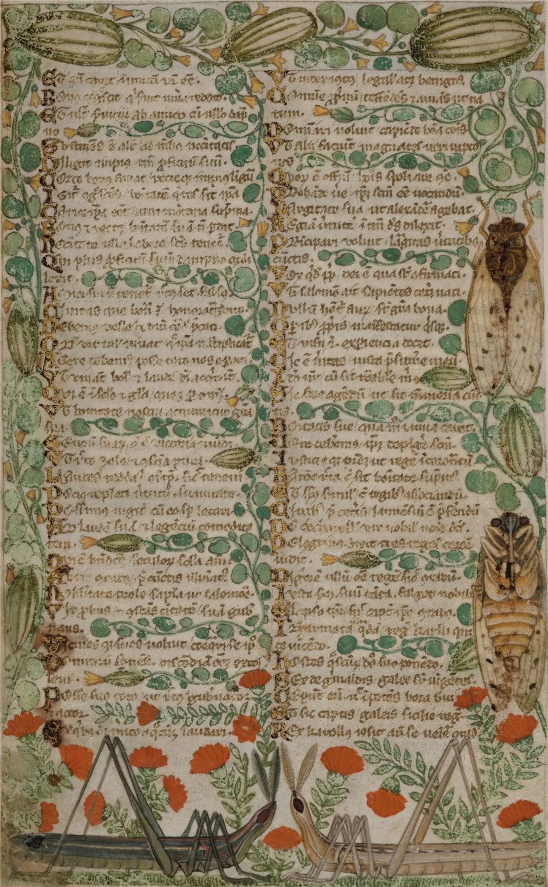 考卡雷利抄本 约1330年～1340年 大英图书馆藏