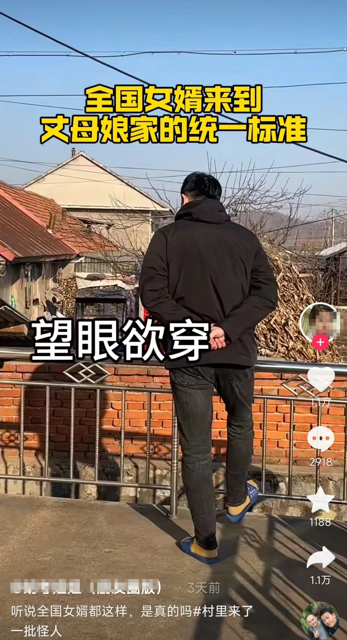 村头游走 无事玩狗!女婿来丈母娘家都是统一状态?_新闻频道_央视网(cctv.com)