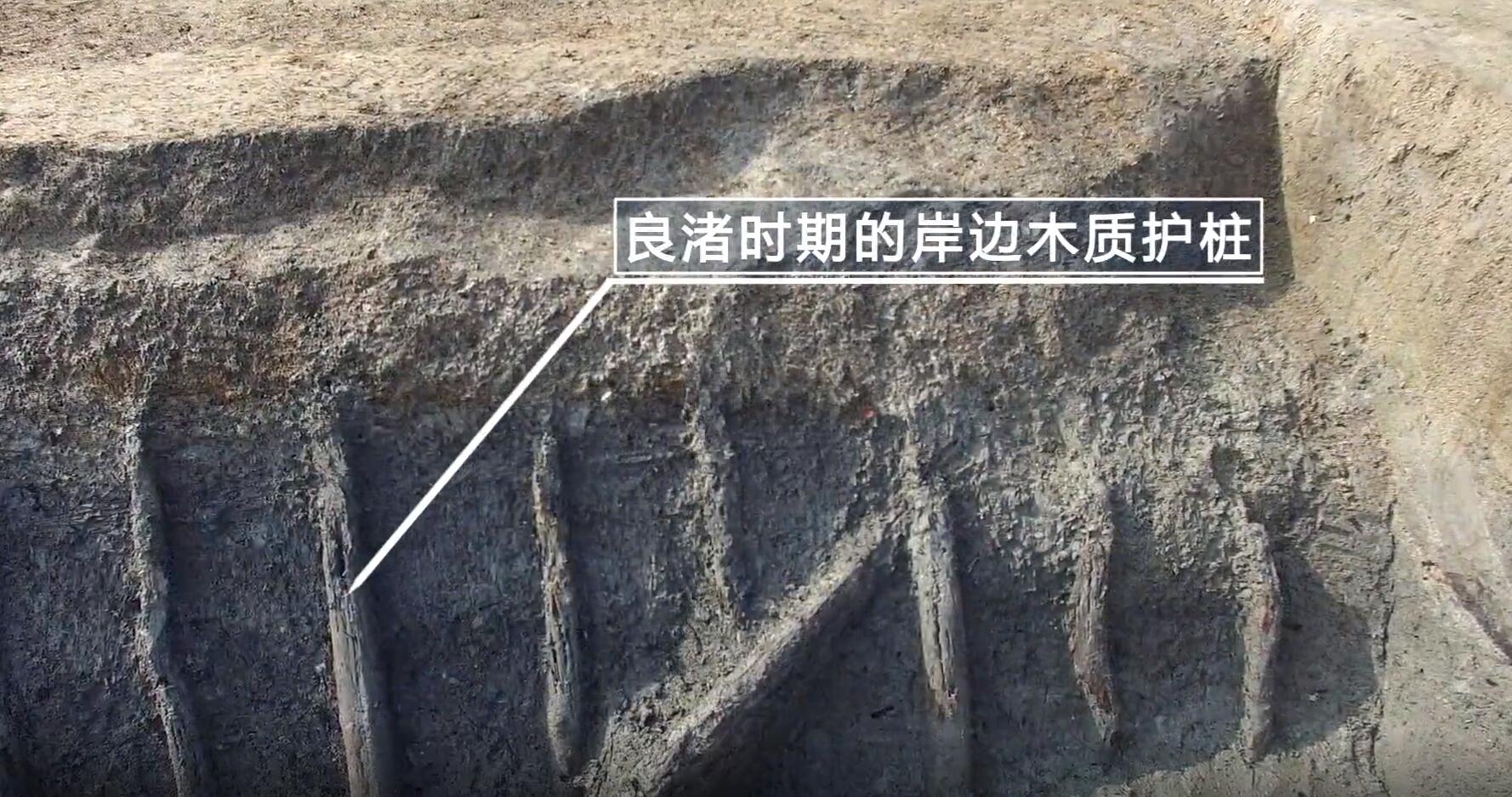 考古发现，河道底部能见到良渚时代遗留的10多米长的木材