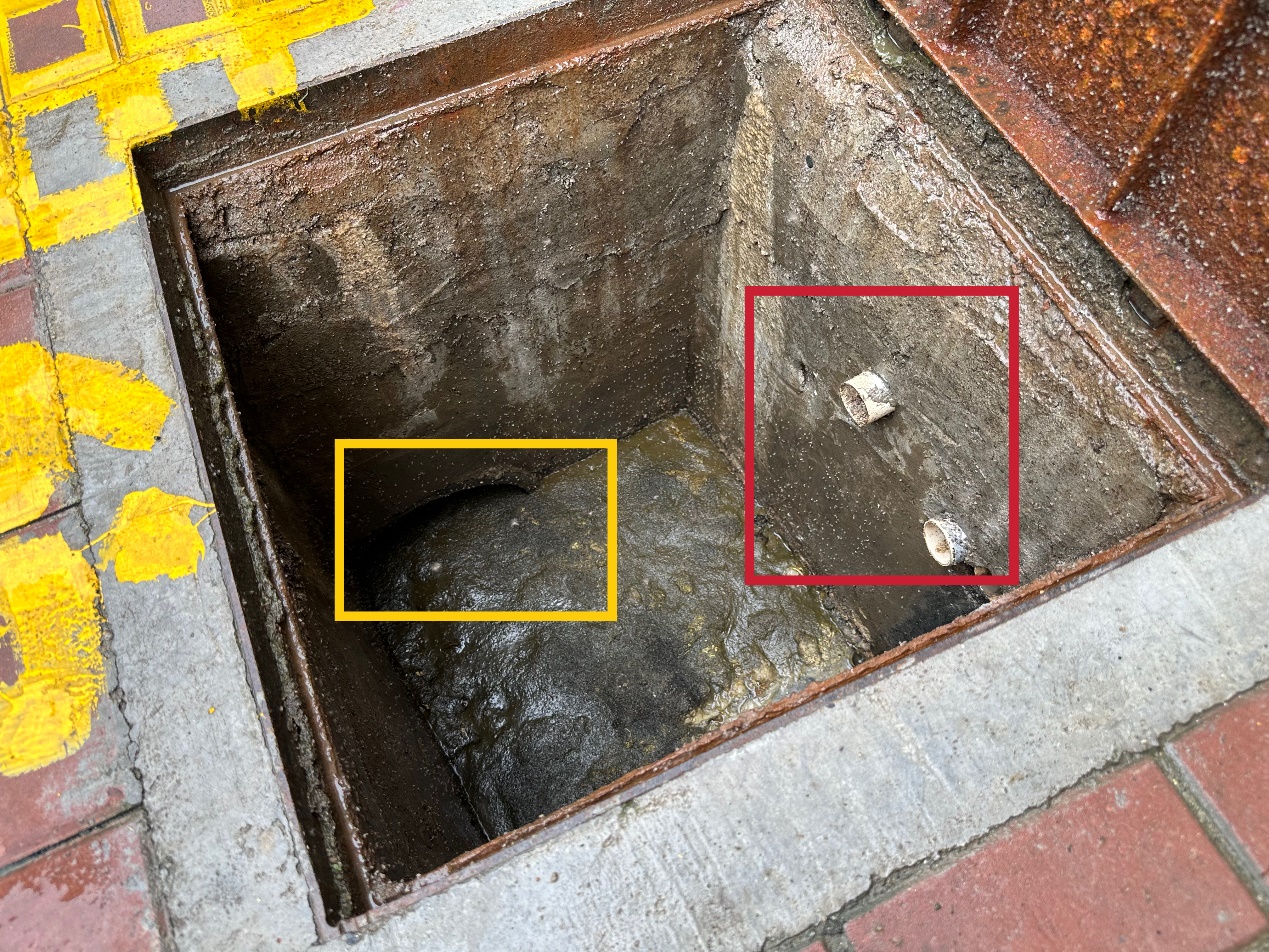 个别污水井内，单元管道的出口端埋在污泥下，位置低于黄框内的主管道；图中红框内白色管口为居民自费从厨房新引的排水管，位置高于主管道，可以实现“水往低处流” （记者韩雪莹 摄）