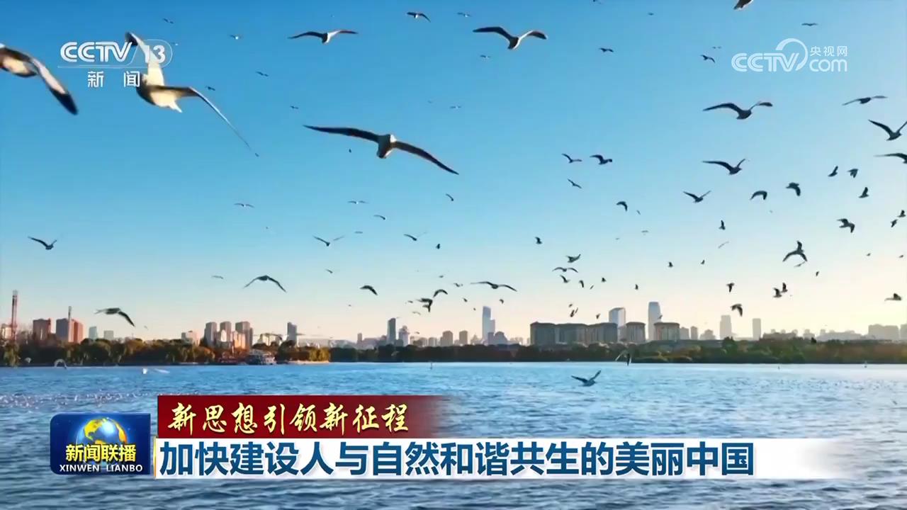 【新思想引领新征程】加快建设人与自然和谐共生的美丽中国