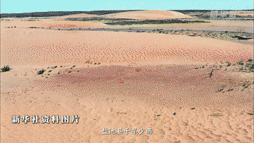 报效祖国 建功西部｜25年青春接力 他们把论文“种”在荒漠里