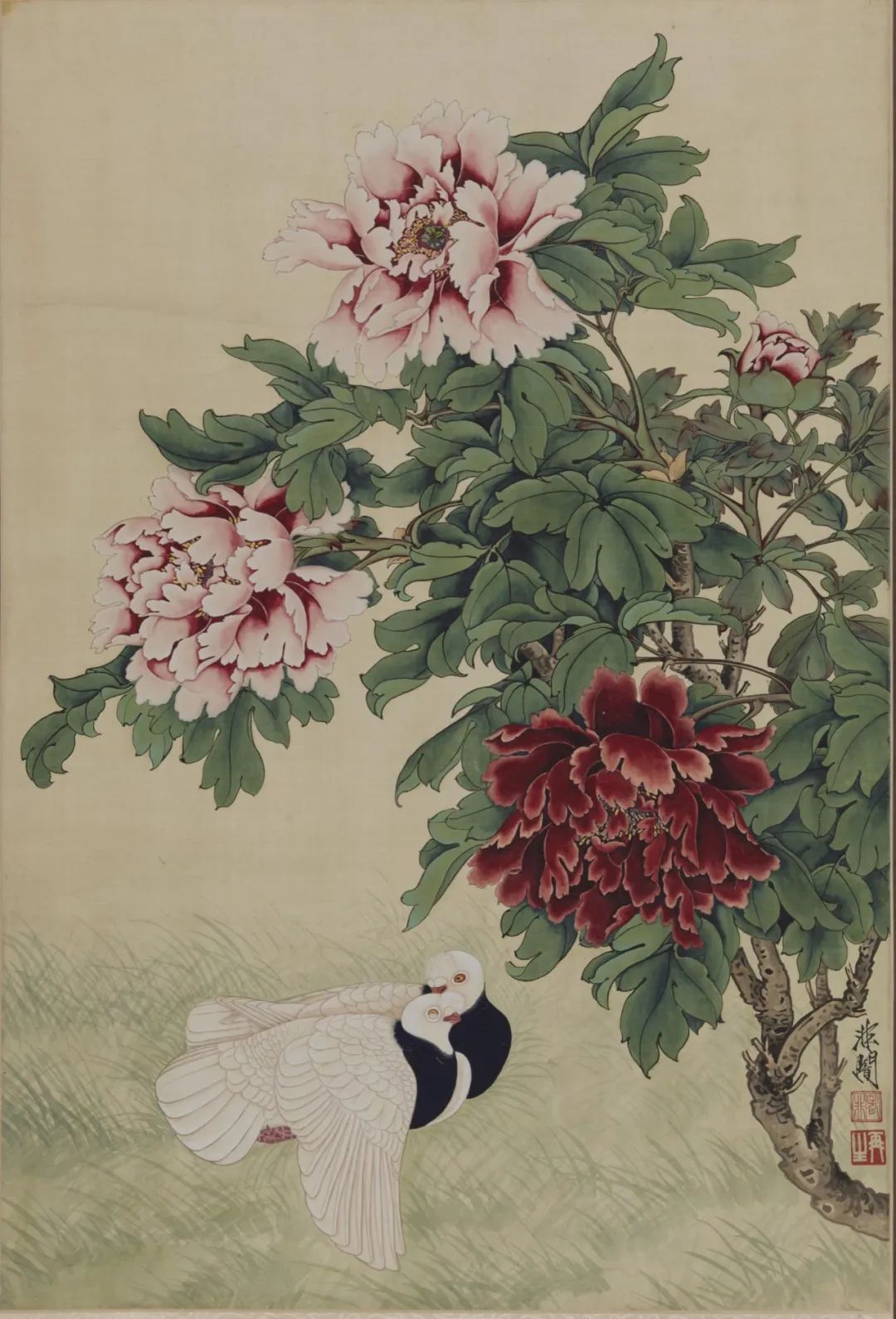 牡丹双鸽 于非闇  中国画  81.8×55.4cm 年代不详  中国美术馆藏