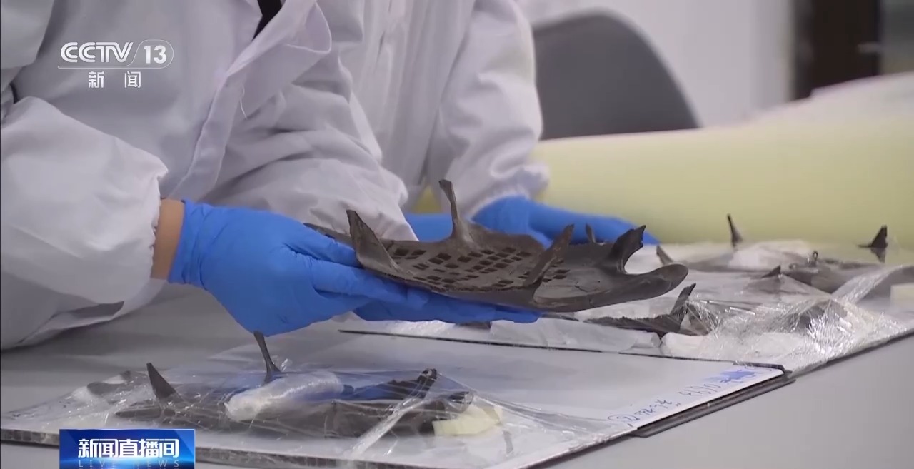 来源于新闻节目《新闻直播间》