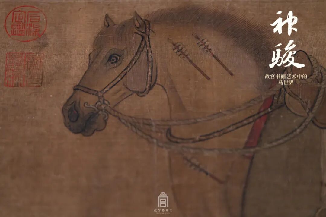 金 赵霖 昭陵六骏图卷（局部）