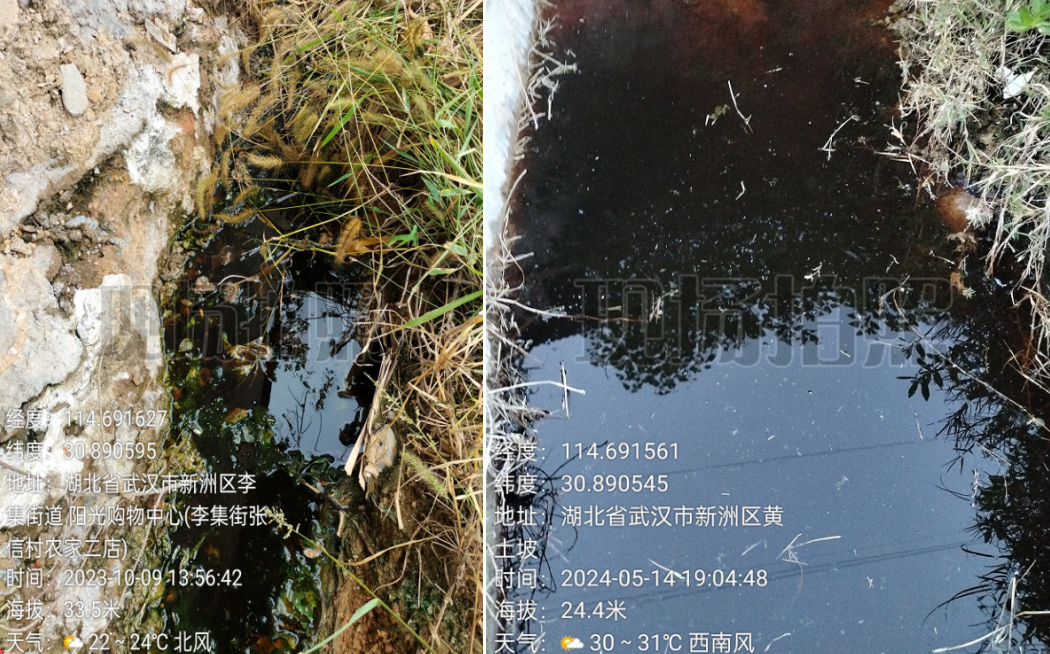 14d5cf7a29ab2a0370700f0e683ebcdb.png