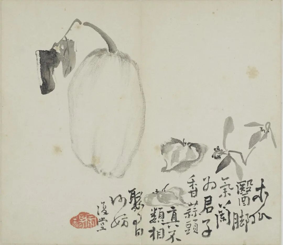 李复堂花卉册之木瓜  李鱓  中国画  25&times;28.6cm  1727年  中国美术馆藏