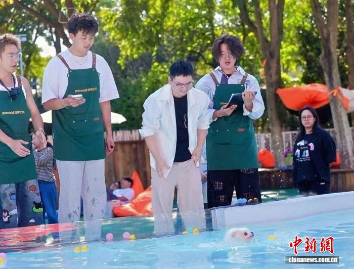 游客带着狗狗在杭州皋亭山千桃园的嬉水池游玩。柳梦迪 摄